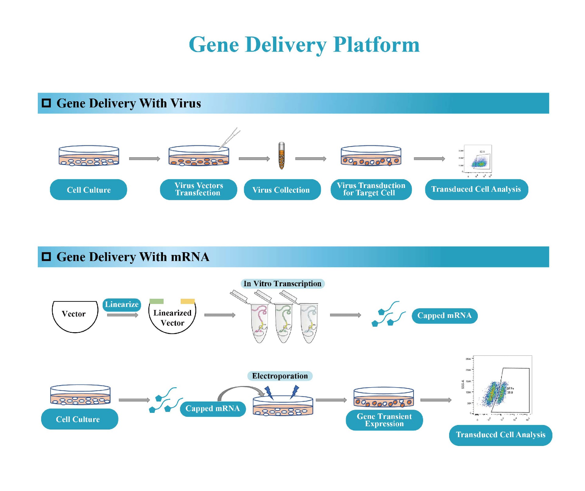 Gene Delivery Platform.jpg