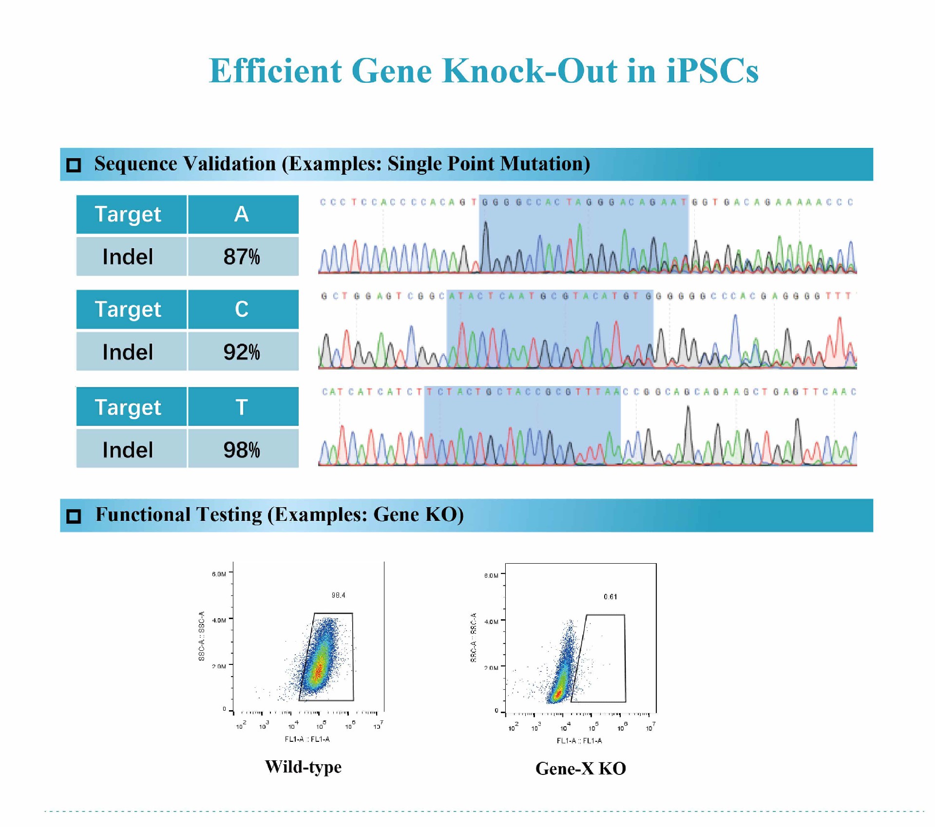 Efficient Gene Knock-Out in iPSCs.jpg