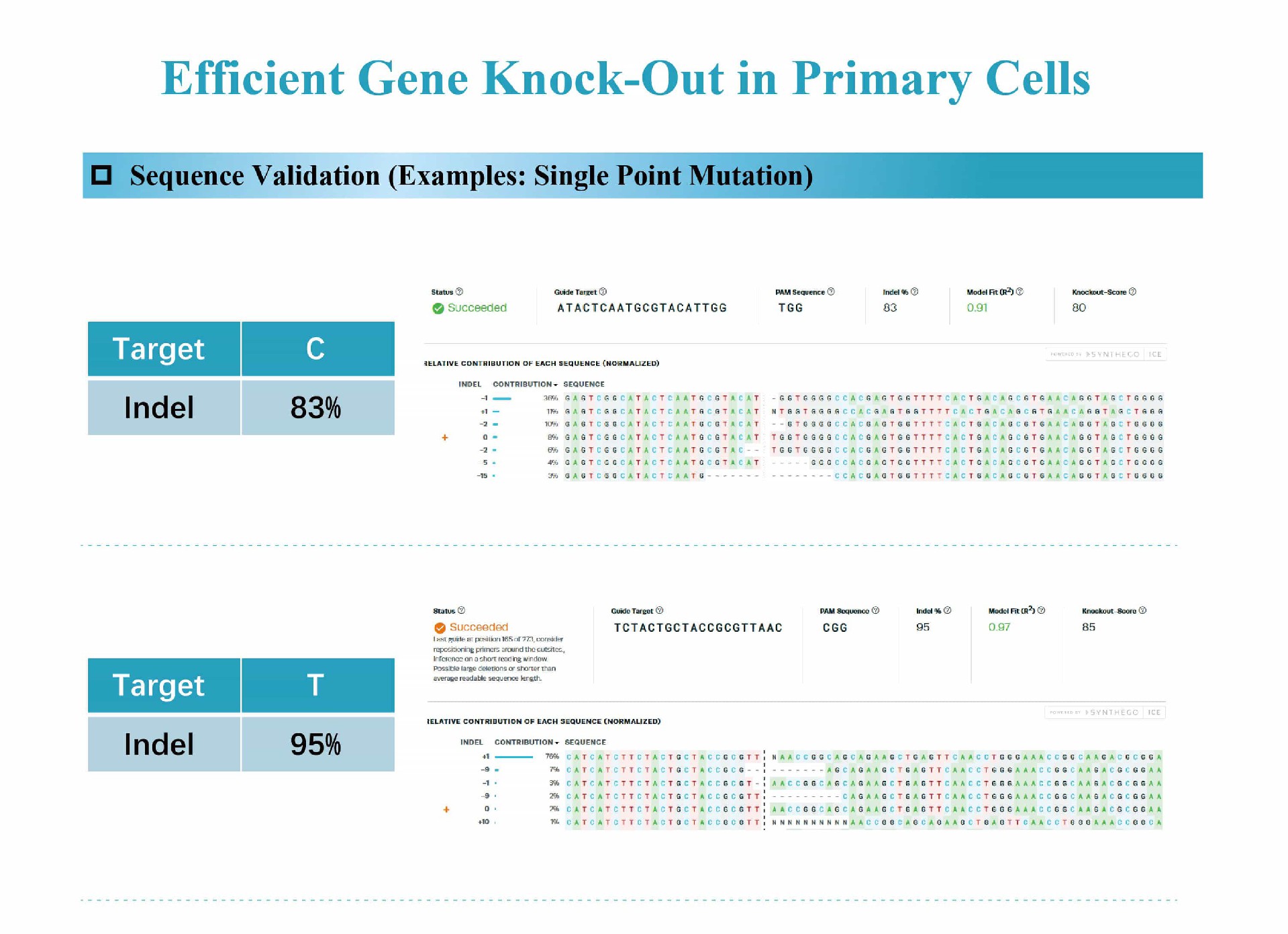 Efficient Gene Knock-Out in PrimaryCells.jpg