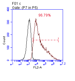 fig.1d 心肌细胞的纯度.jpg