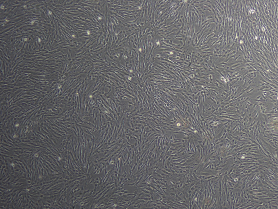 1732167895522536.png 1732167895522536.png